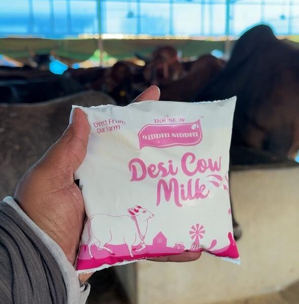 WhatsApp-Image-2025-10-23-at-12.26.26-589x600